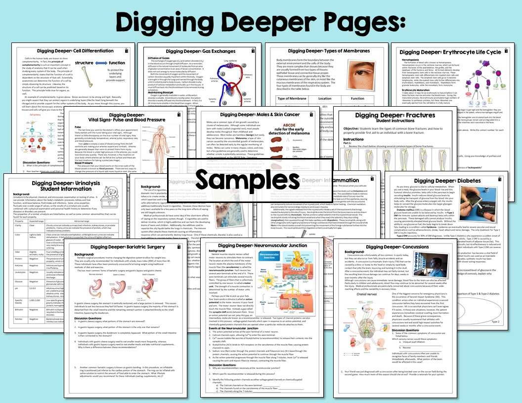 digging deeper gas exchanges answer key