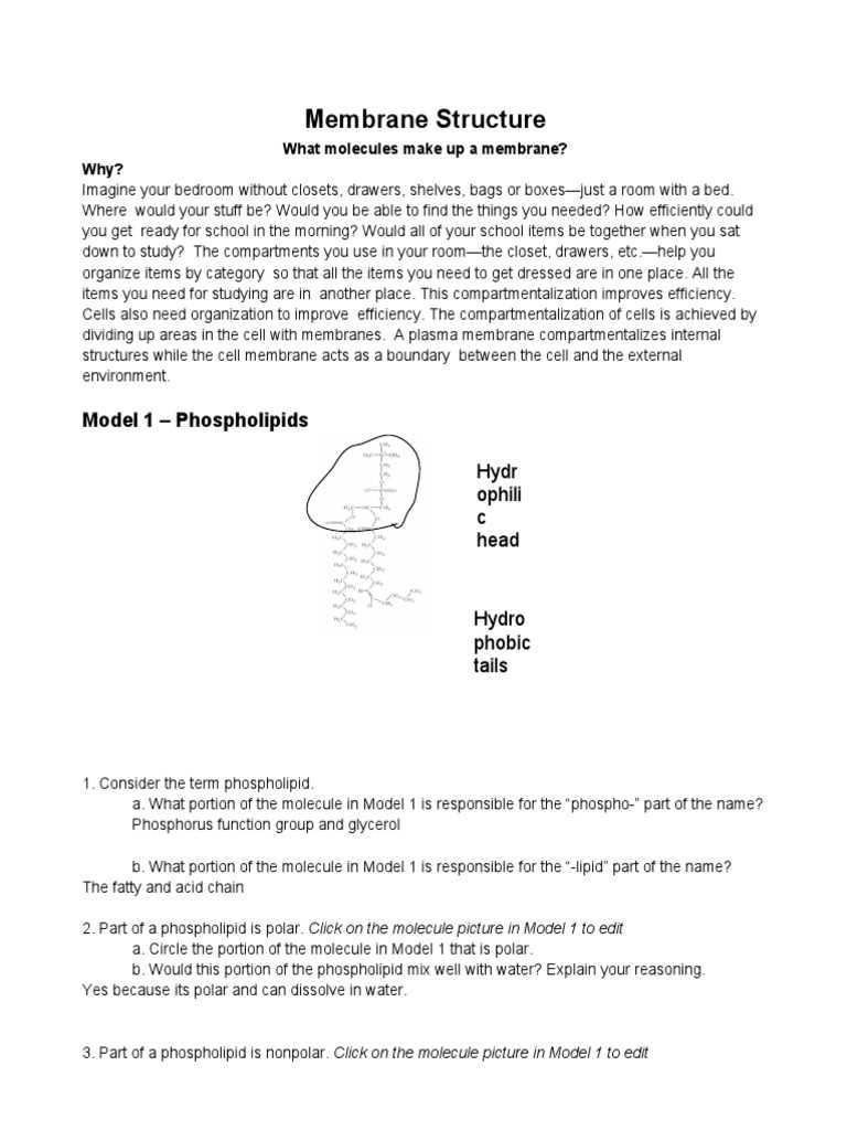 digging deeper types of membranes answer key