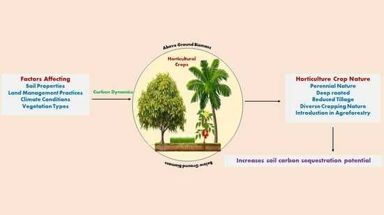 digging deeper vegetation and climate answer key