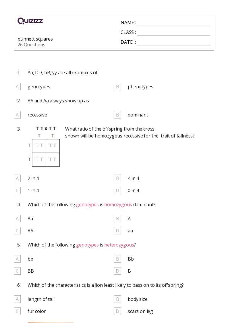 dihybrid punnett square practice problems worksheet answer key
