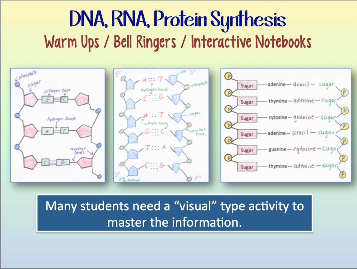 dna and rna review answer key