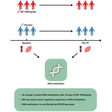 dna messages 1 30 answer key