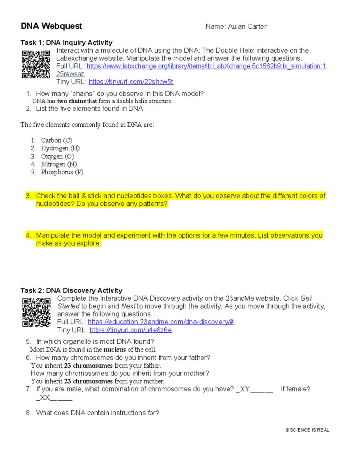 dna qr code quest answer key