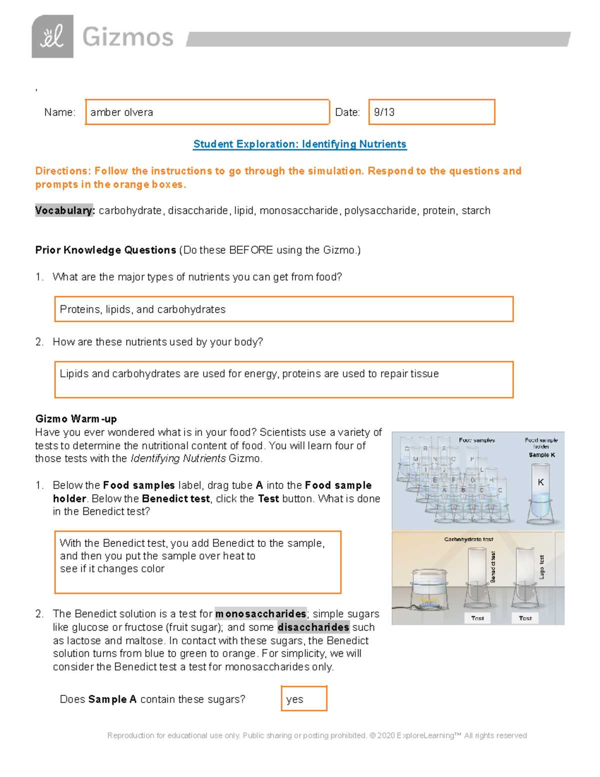 dna scissors introduction to restriction enzymes answer key