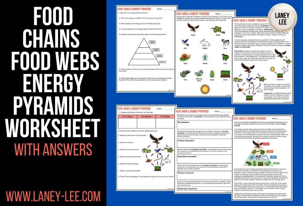 ecological pyramids worksheet answers key