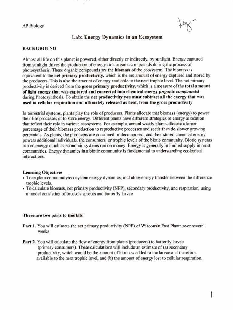 energy dynamics lab dry version answer key