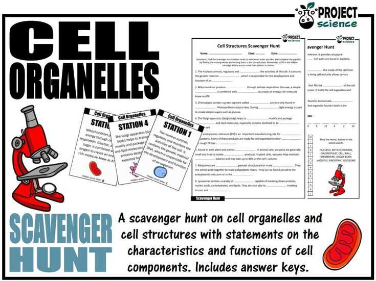 energy resources scavenger hunt answer key