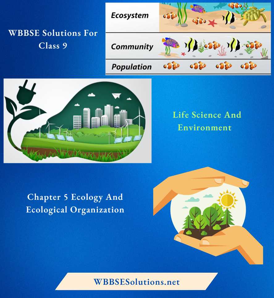 enviromental science chapter 5 how ecosystems work answer key