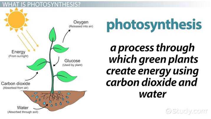 eoc chemistry sample items goal 4 answer key eoc chemistry sample items goal 4 answer key
