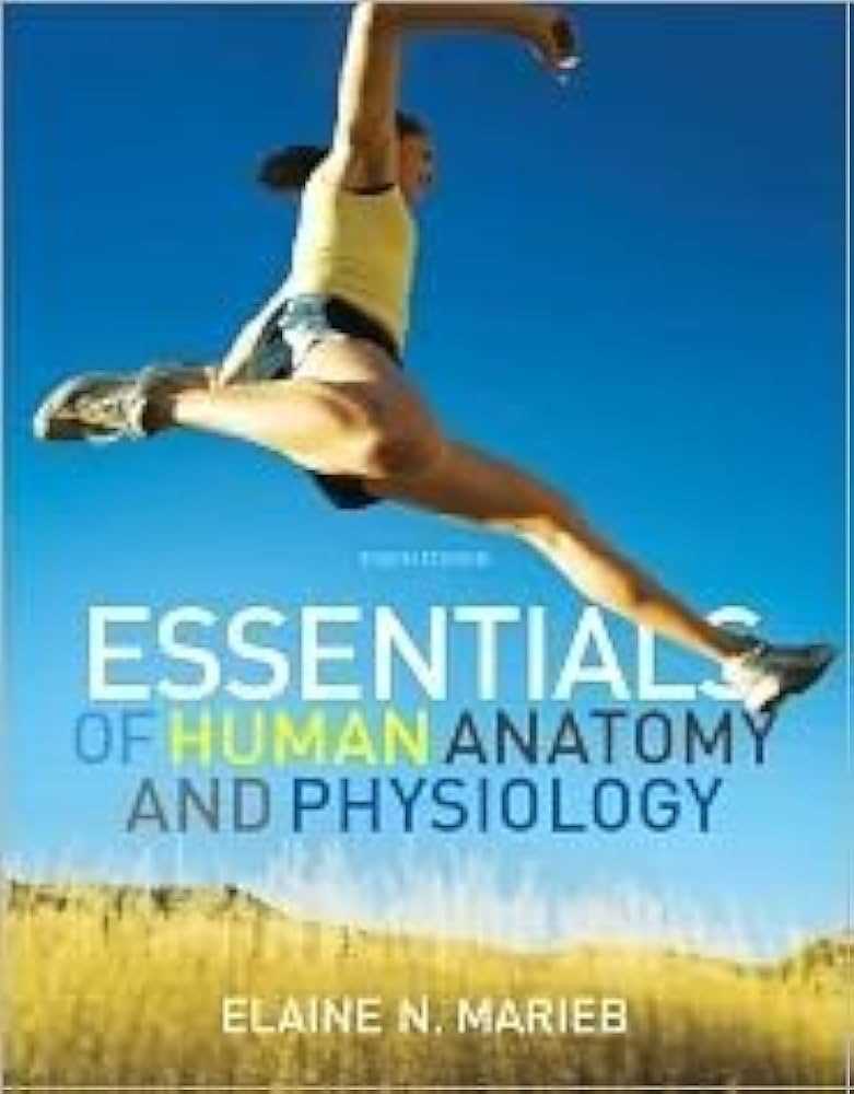 essentials of human anatomy and physiology 9th edition answer key