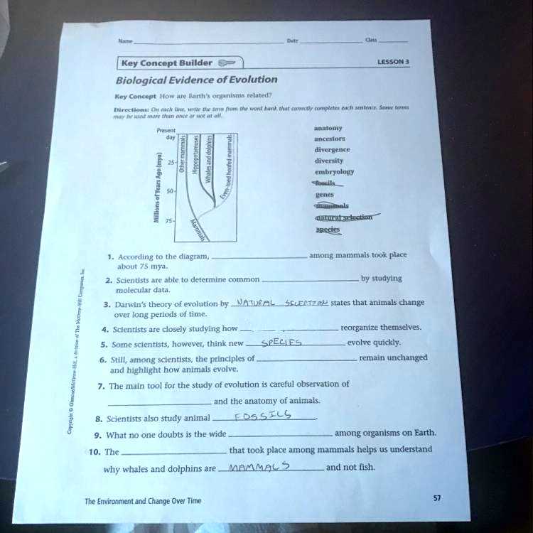 evidence of evolution digital lesson answer key