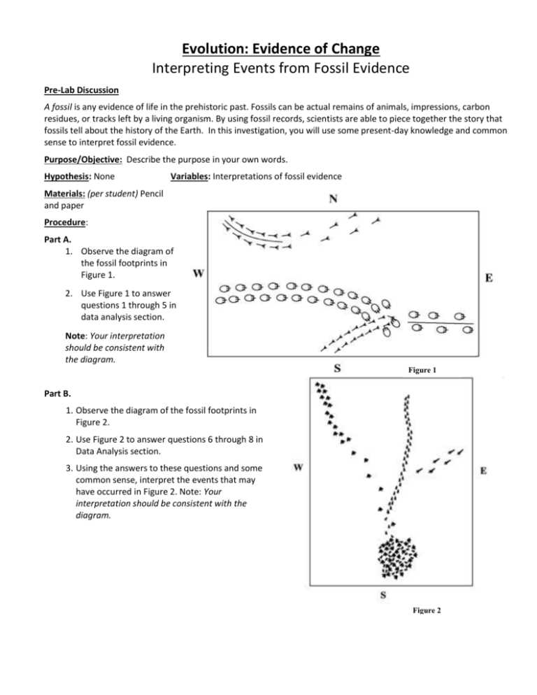 evidence of evolution lab answer key evidence of evolution lab answer key