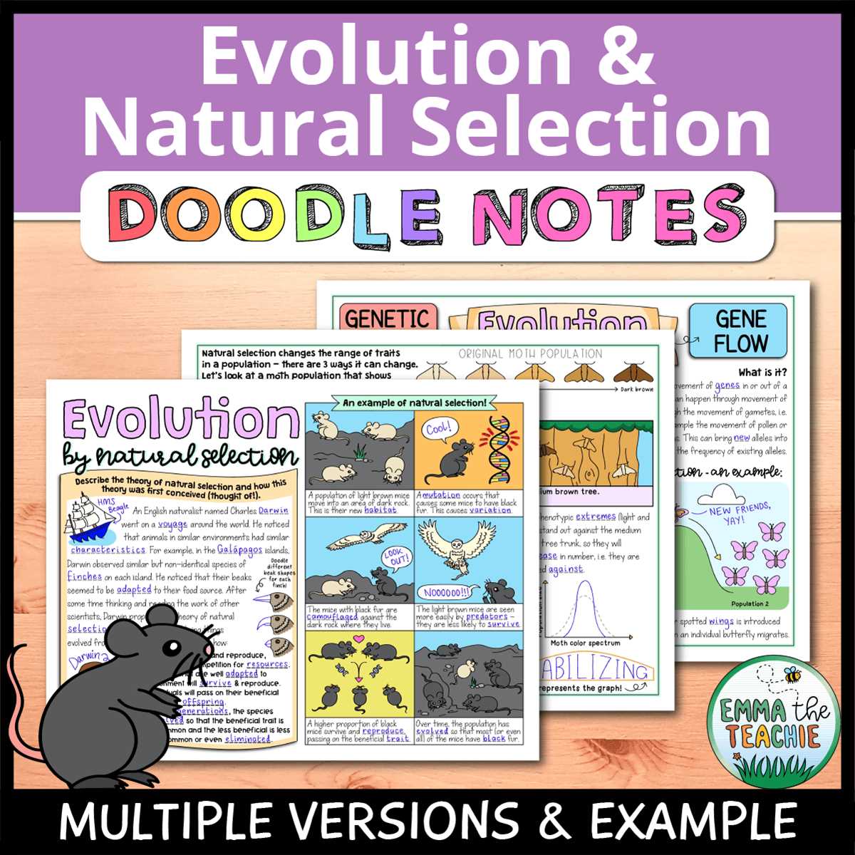 evolution and selection packet answer key