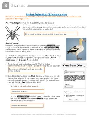 evolution webquest worksheet answer key