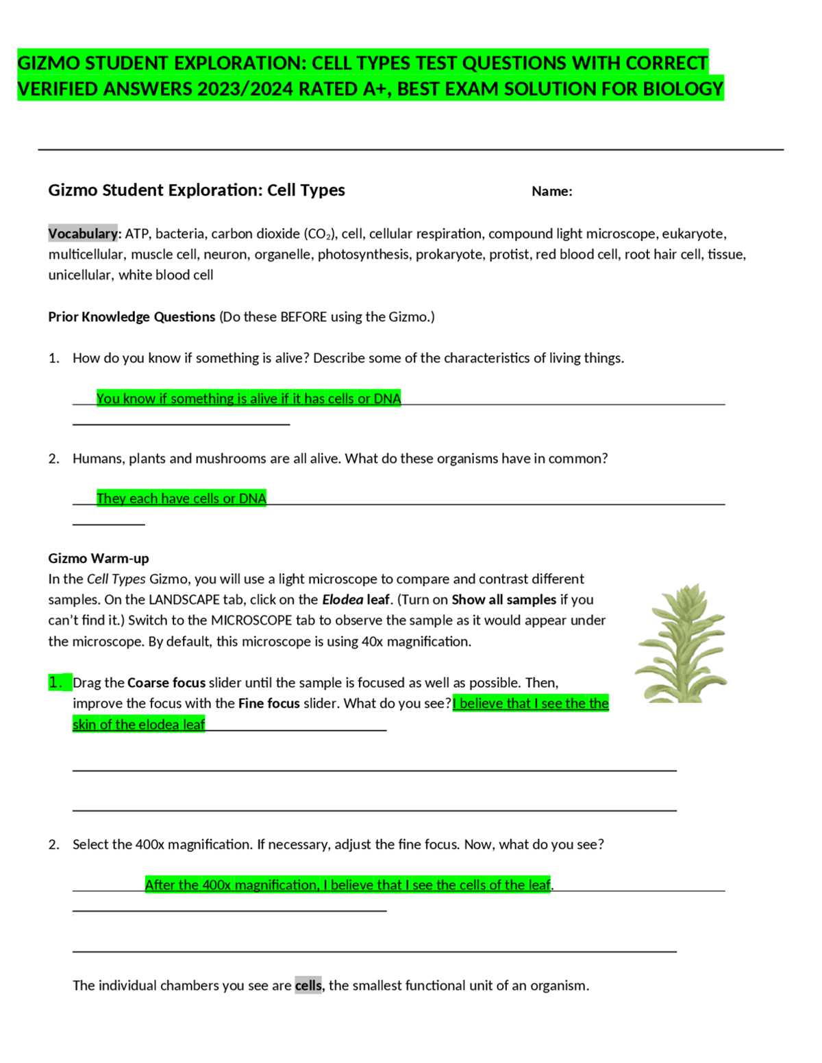 exploration sheet answer key