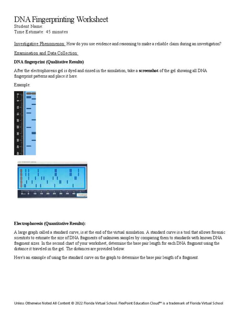 flvs answer key