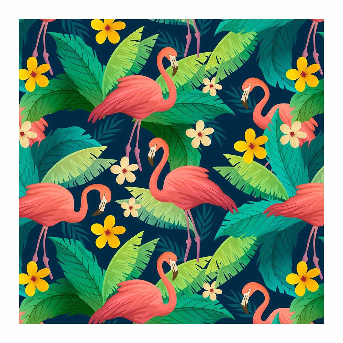 for the birds designing solutions answer key for the birds designing solutions answer key