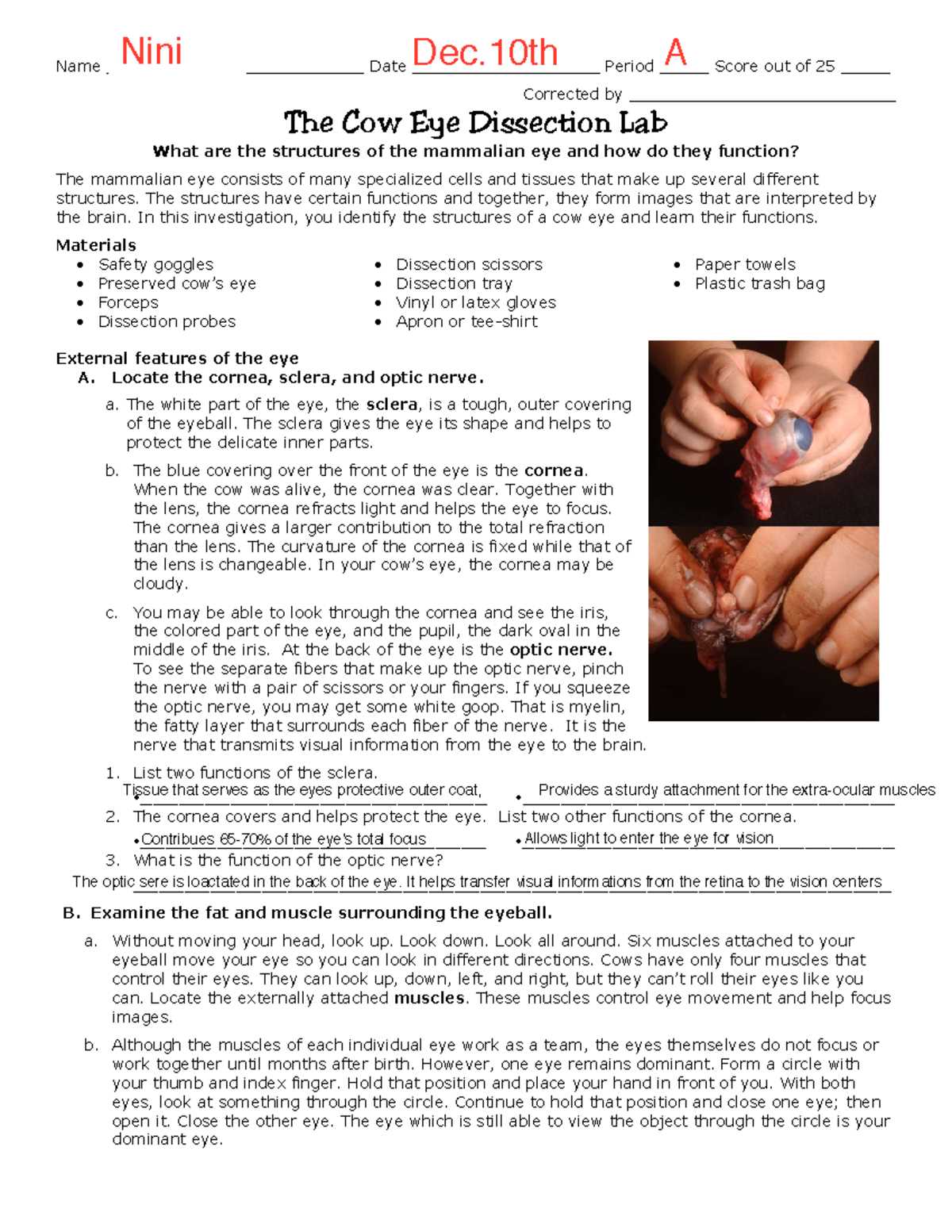 frog dissection gizmos answer key