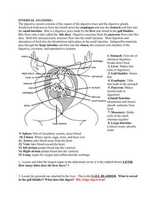 frog dissection worksheet answers key