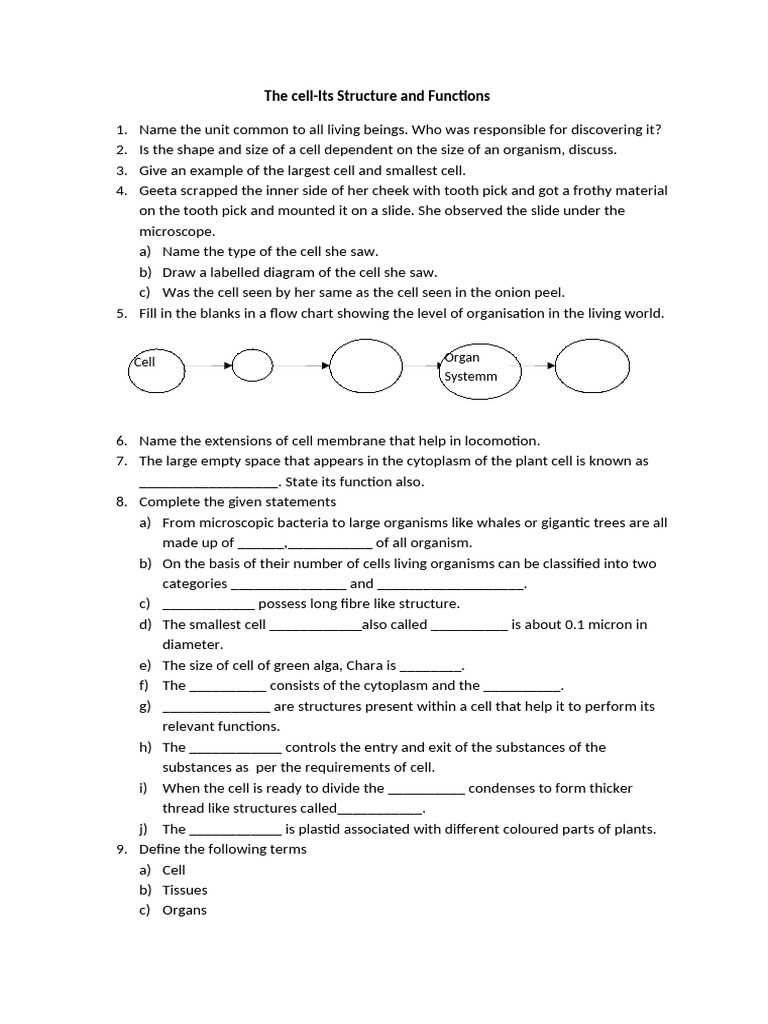 from cell to organism answer key