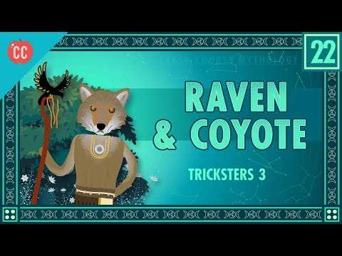 from coyote and the stars answer key