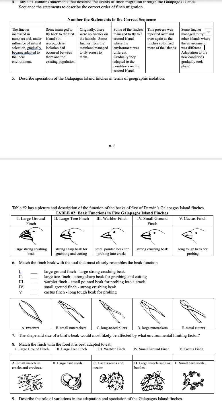 galapagos island finches worksheet answer key