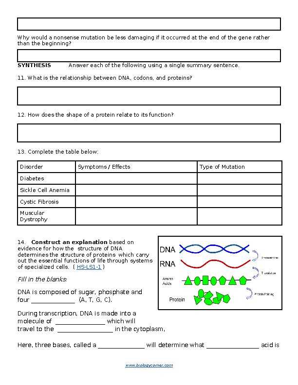 genetic variation the outcome of mutation answer key