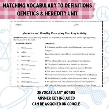 genetics matching worksheet answer key