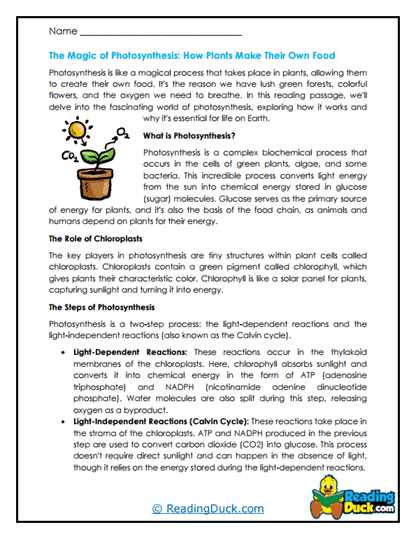 gizmo growing plants answer key