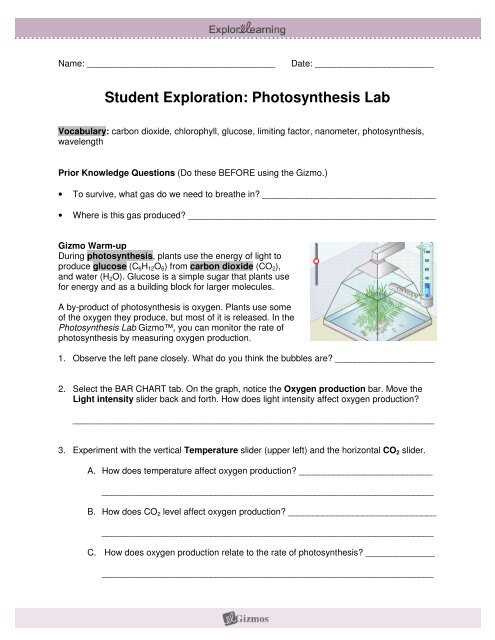gizmo growing plants answer key