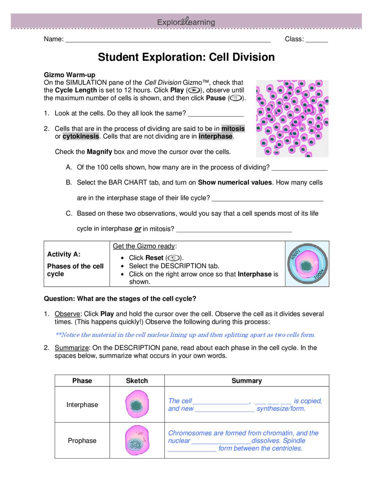 gizmo student exploration cell division answer key