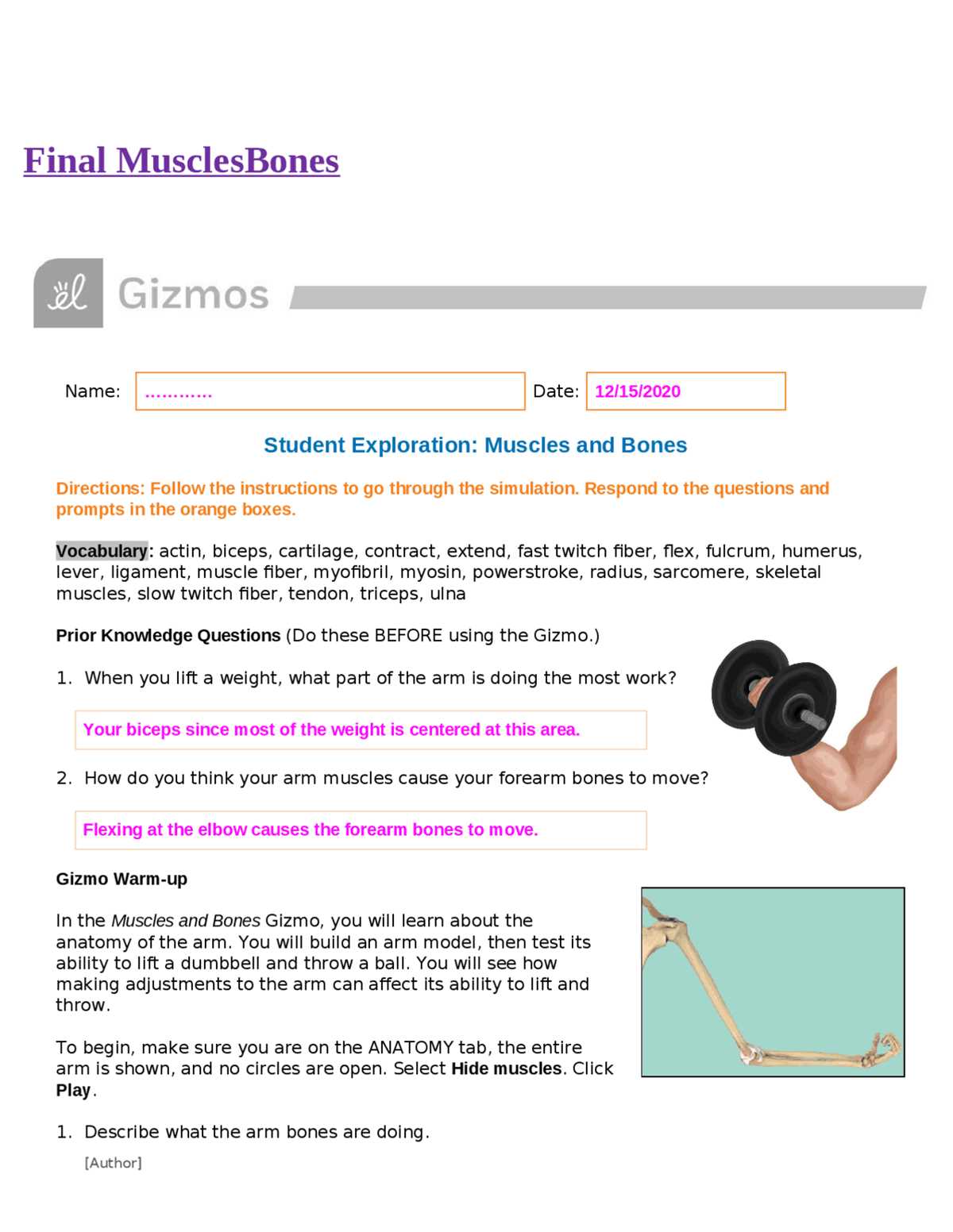 gizmos answer key