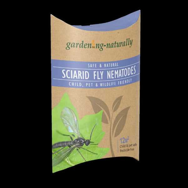 gnature with gnat 2026 answer key gnature with gnat 2026 answer key