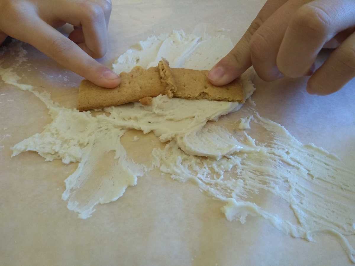 graham cracker plate tectonics lab answer key graham cracker plate tectonics lab answer key