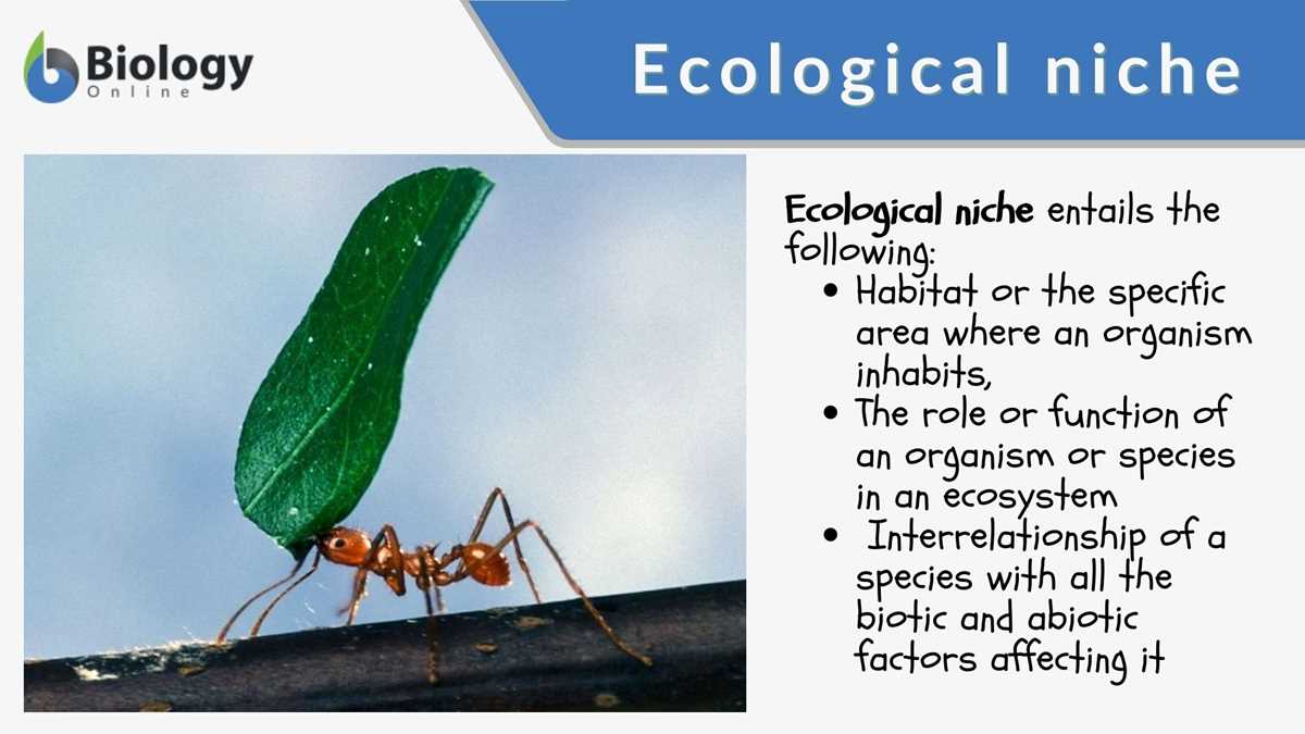 habitat and niche activity sheet answer key
