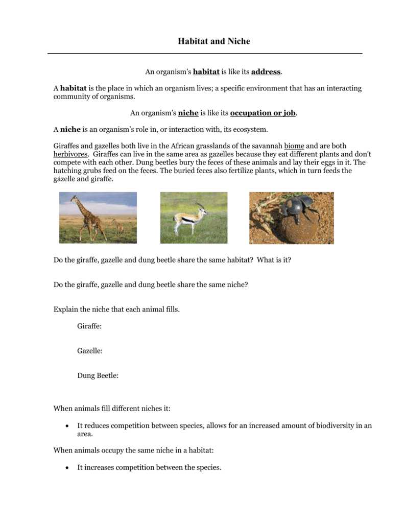 habitat and niche activity sheet answer key
