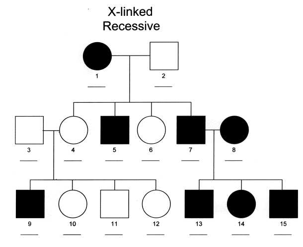 homework 2 sex linked genes answer key