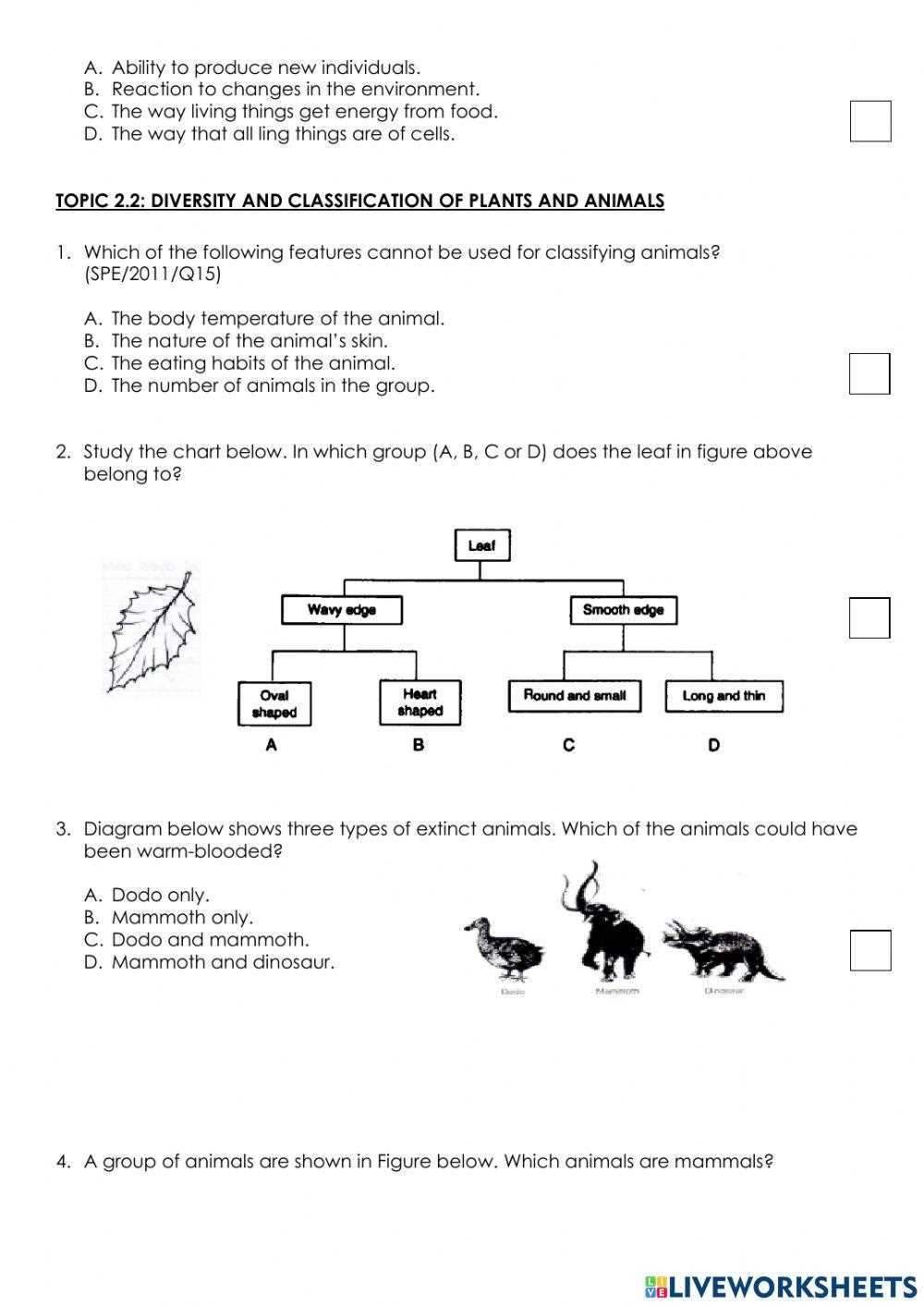 how are living things classified lesson review answer key
