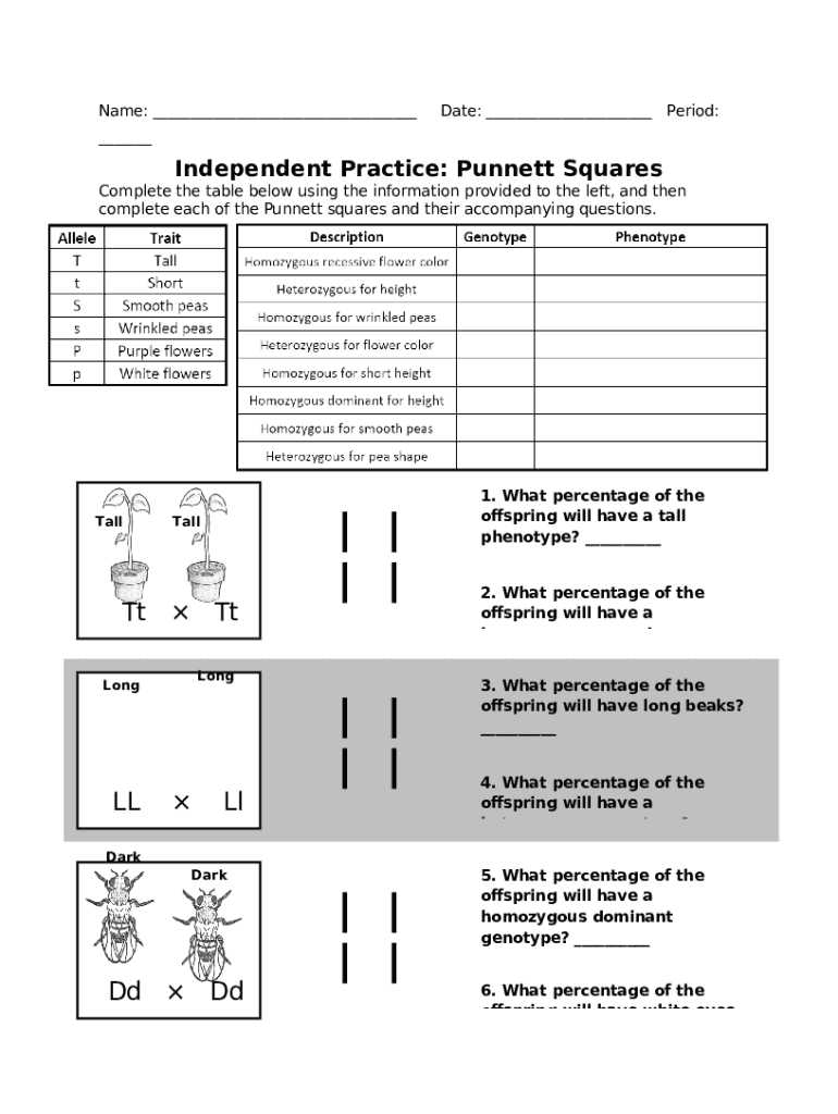 independent practice answer key
