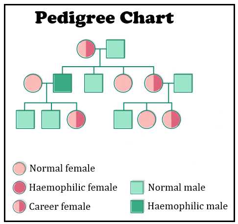 interpreting information in a pedigree answer key