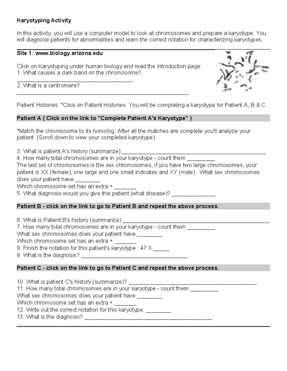 karyotype worksheet answers key