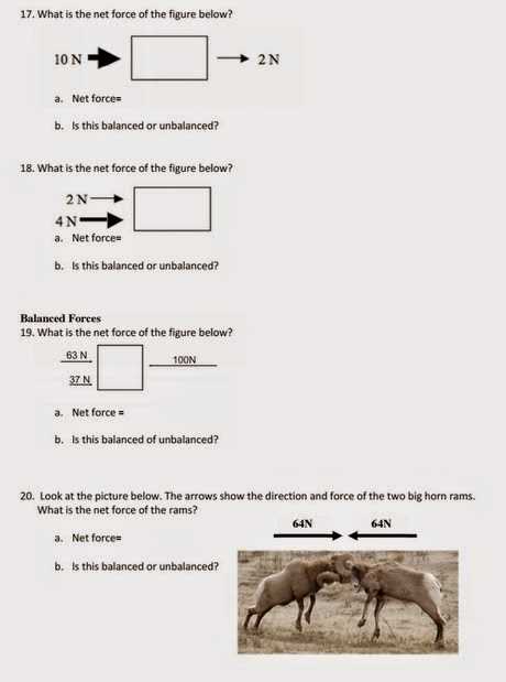 key net force worksheet answers key net force worksheet answers