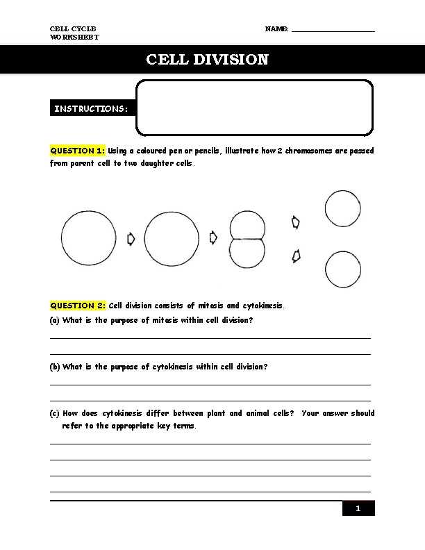 key terms cell processes worksheet answers
