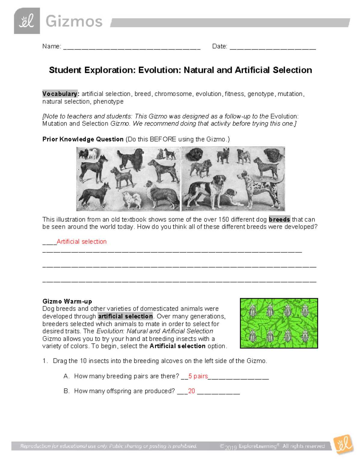 key terms classification of matter worksheet answers