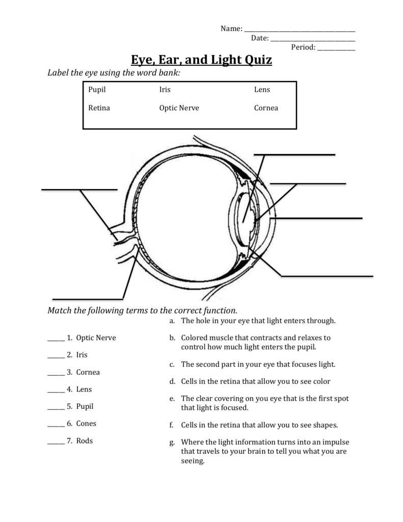 label the eye answer key