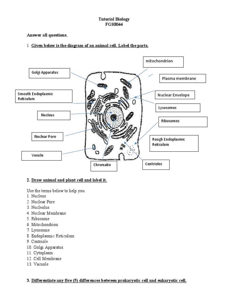 label the parts of an animal cell worksheet answer key