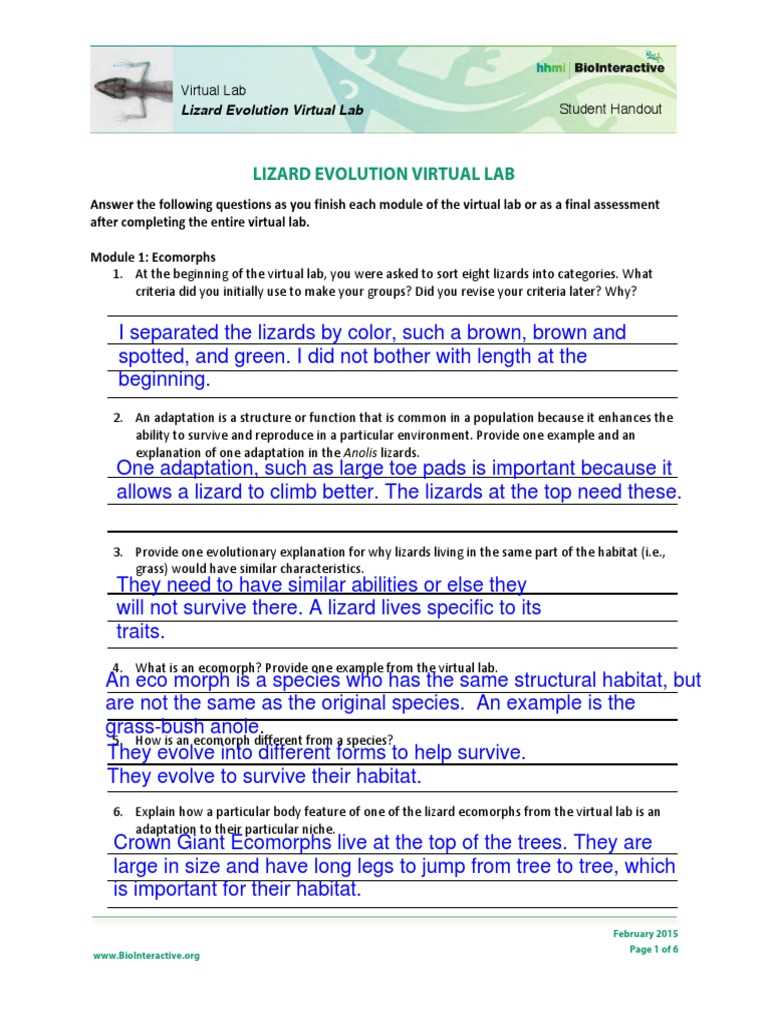 leaping lizards answer key