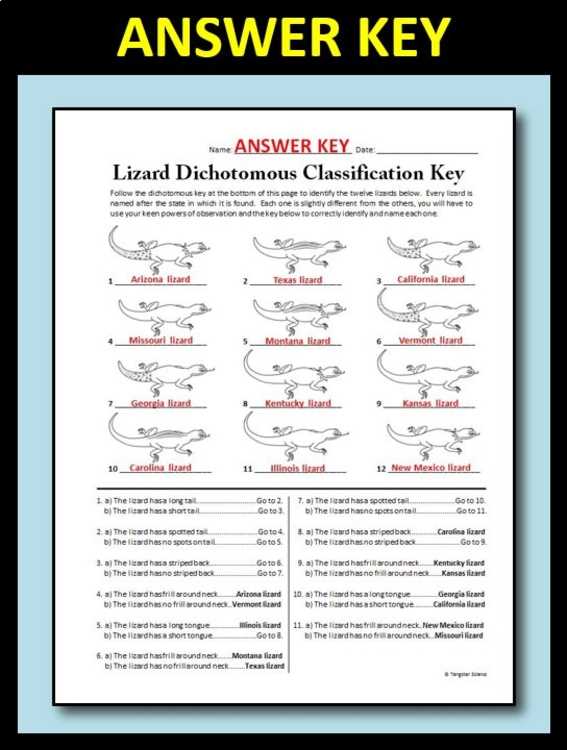 leaping lizards answer key