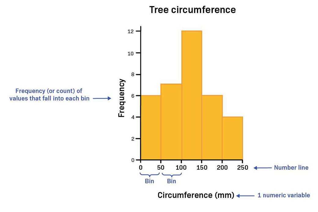 lesson 10 2 problem solving frequency and histograms answer key