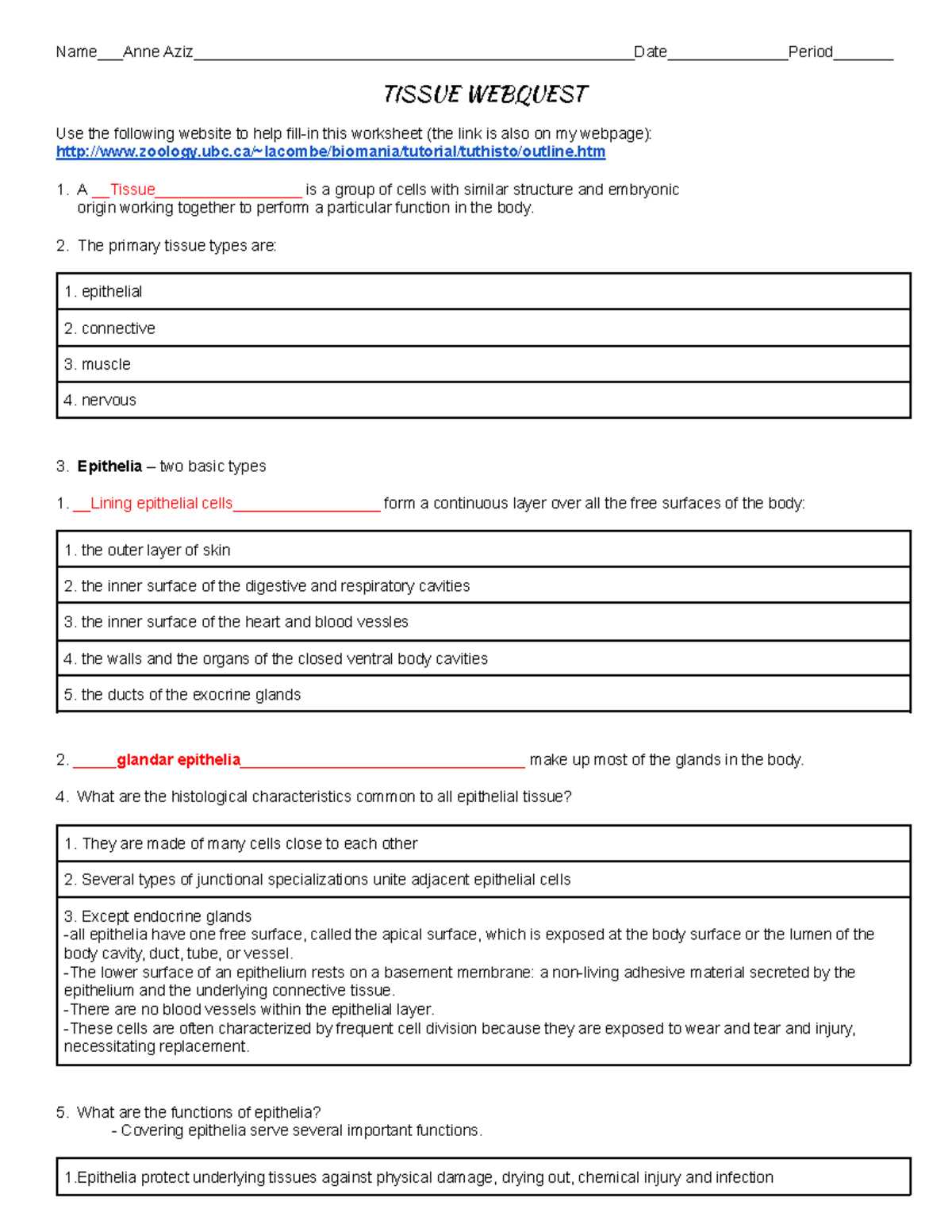 lesson 5.3 directional movement terminology answer key